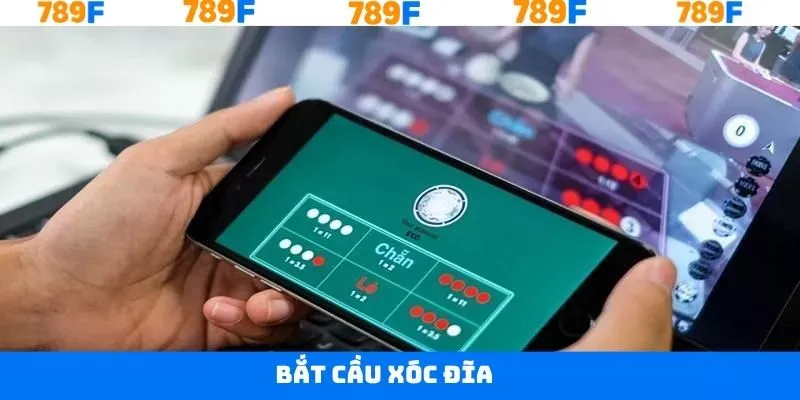 Bắt Cầu Xóc Đĩa - Chiến Thuật Hiệu Quả Từ Cao Thủ 789F 3 Bắt Cầu Xóc Đĩa - Chiến Thuật Hiệu Quả Từ Cao Thủ 789F