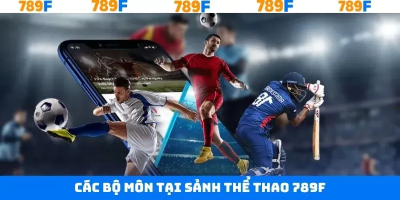 Một vài môn thể thao được ưa chuộng ở sảnh cược