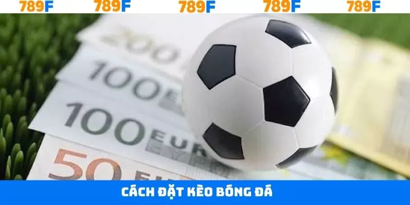 Cách Đặt Kèo Bóng Đá - Cá Cược Mượt Mà Cùng 798F Uy Tín