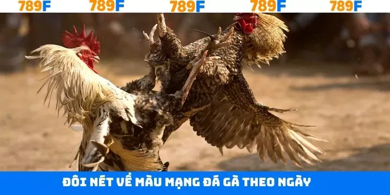 Sơ lược về việc xem màu mạng đá gà theo ngày Sơ lược về việc xem màu mạng đá gà theo ngày