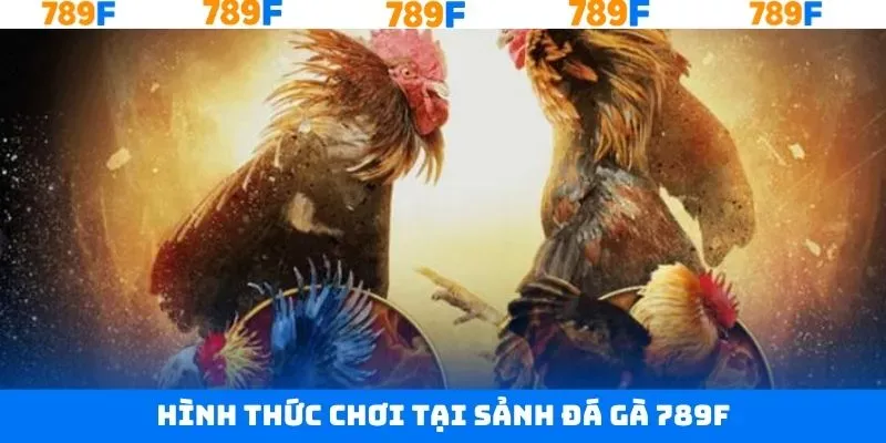 Những thể loại cá cược đang được săn đón và phổ biến nhất Những thể loại cá cược đang được săn đón và phổ biến nhất