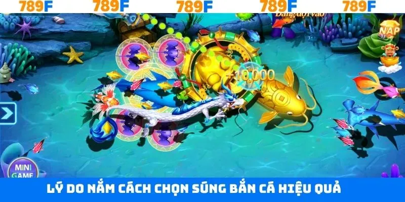 Vì sao nên biết cách chọn súng bắn cá hiệu quả Vì sao nên biết cách chọn súng bắn cá hiệu quả