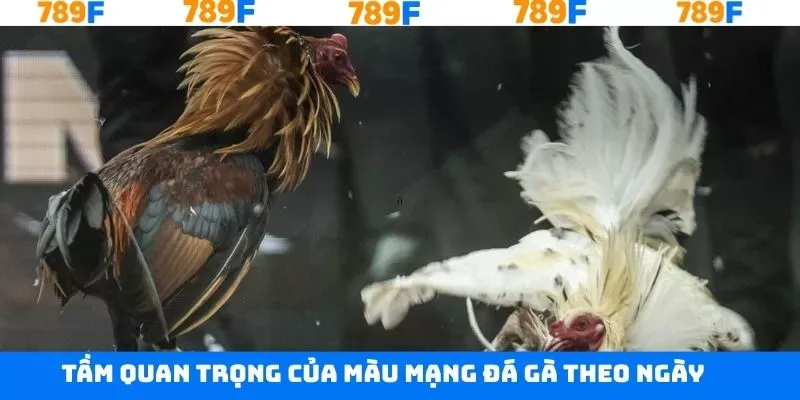 Điều quan trọng trong việc chọn màu mạng bạn cần nắm Điều quan trọng trong việc chọn màu mạng bạn cần nắm