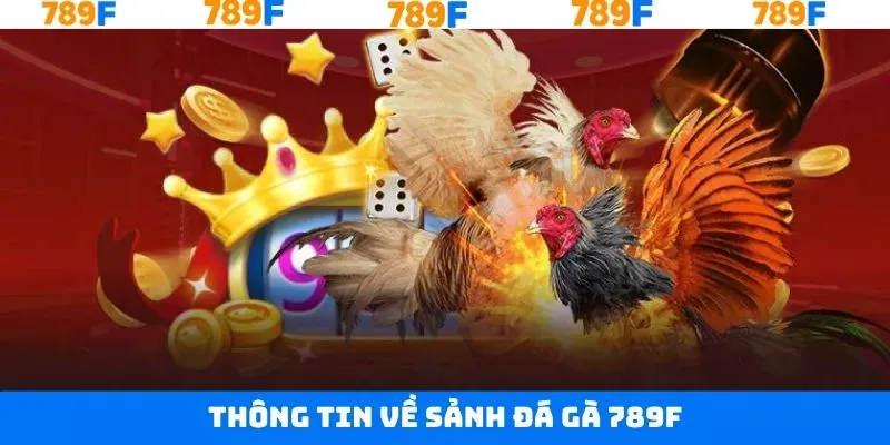 Khám phá tổng quan sảnh game đá gà 789F Khám phá tổng quan sảnh game đá gà 789F