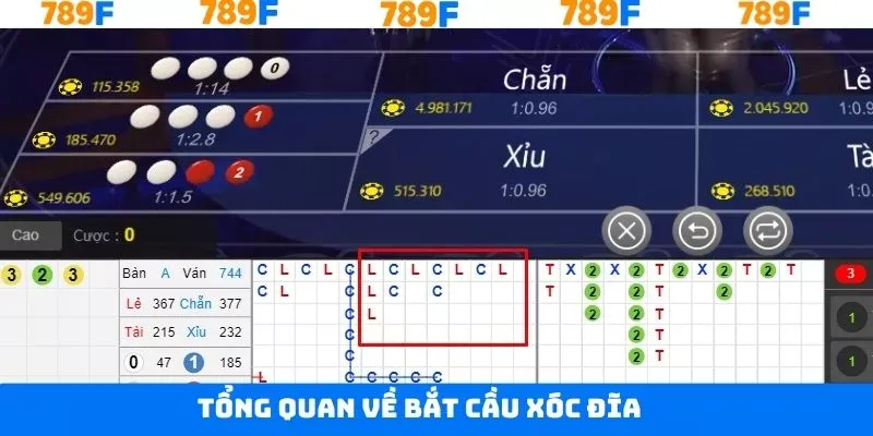 Khái niệm chung về bắt cầu xóc đĩa Khái niệm chung về bắt cầu xóc đĩa