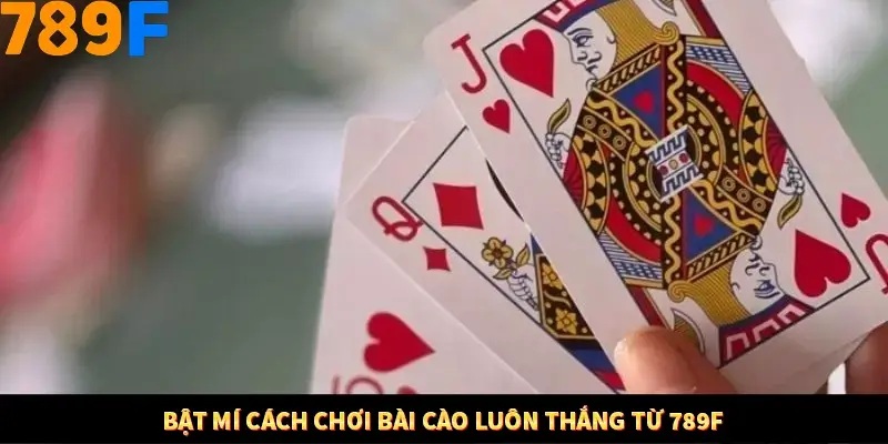 Bật mí cách chơi bài cào luôn thắng từ 789F