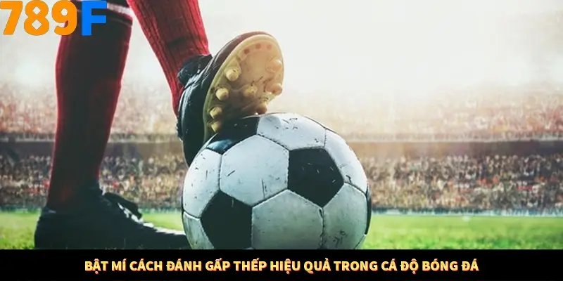 Bí Quyết Đánh Lô Khung 5 Ngày An Toàn Tại Nhà Cái 789F 14 Bật mí cách đánh gấp thếp hiệu quả trong cá độ bóng đá