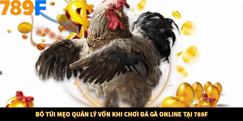 Bỏ Túi Mẹo Quản Lý Vốn Khi Chơi Đá Gà Online Tại 789F