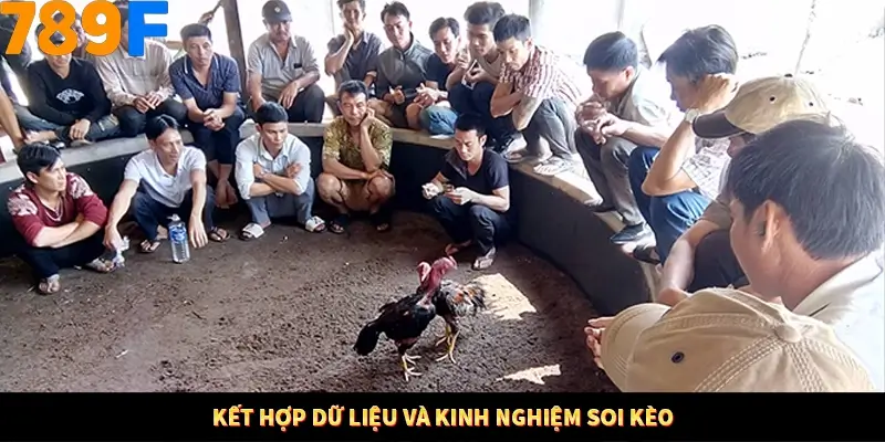 Bí Quyết Đánh Lô Khung 5 Ngày An Toàn Tại Nhà Cái 789F 12 Kết hợp dữ liệu và kinh nghiệm soi kèo