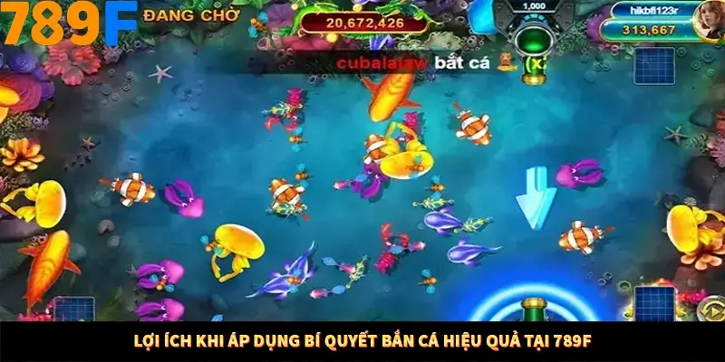 Bí Quyết Đánh Lô Khung 5 Ngày An Toàn Tại Nhà Cái 789F 11 Lợi ích khi áp dụng bí quyết bắn cá hiệu quả tại 789F