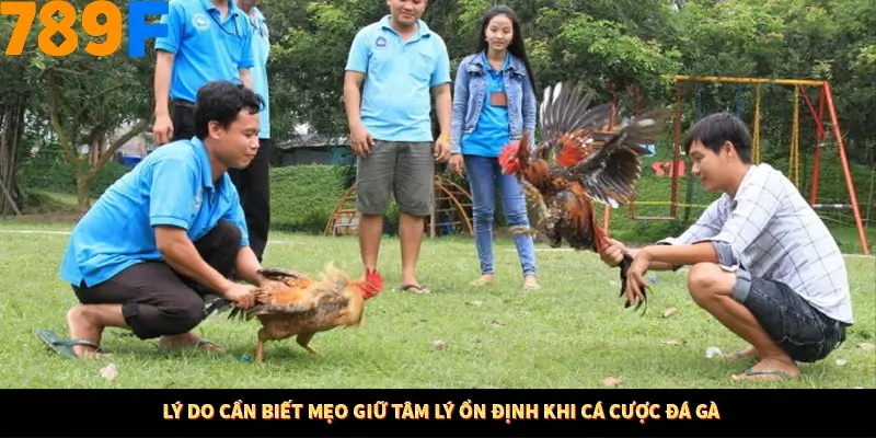 Bí Quyết Đánh Lô Khung 5 Ngày An Toàn Tại Nhà Cái 789F 10 Lý do cần biết mẹo giữ tâm lý ổn định khi cá cược đá gà