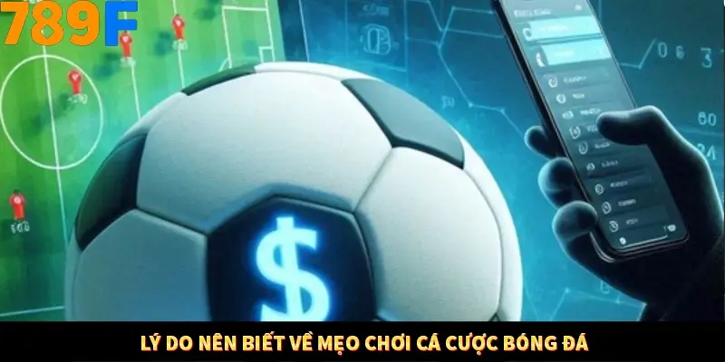 Bí Quyết Đánh Lô Khung 5 Ngày An Toàn Tại Nhà Cái 789F 10 Lý do nên biết về mẹo chơi cá cược bóng đá