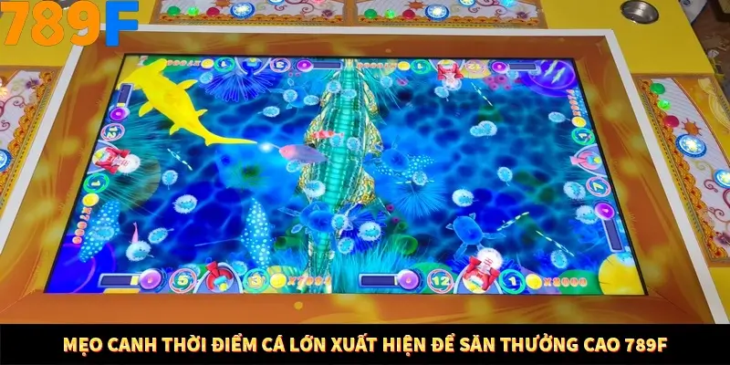 Mẹo Canh Thời Điểm Cá Lớn Xuất Hiện Để Săn Thưởng Cao 789F