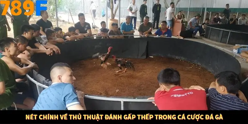 Bí Quyết Đánh Lô Khung 5 Ngày An Toàn Tại Nhà Cái 789F 10 Nét chính về thủ thuật đánh gấp thếp trong cá cược đá gà