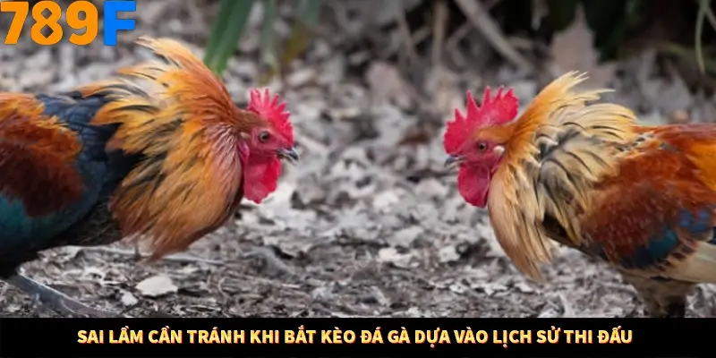 Bí Quyết Đánh Lô Khung 5 Ngày An Toàn Tại Nhà Cái 789F 12 Sai lầm cần tránh khi bắt kèo đá gà dựa vào lịch sử thi đấu