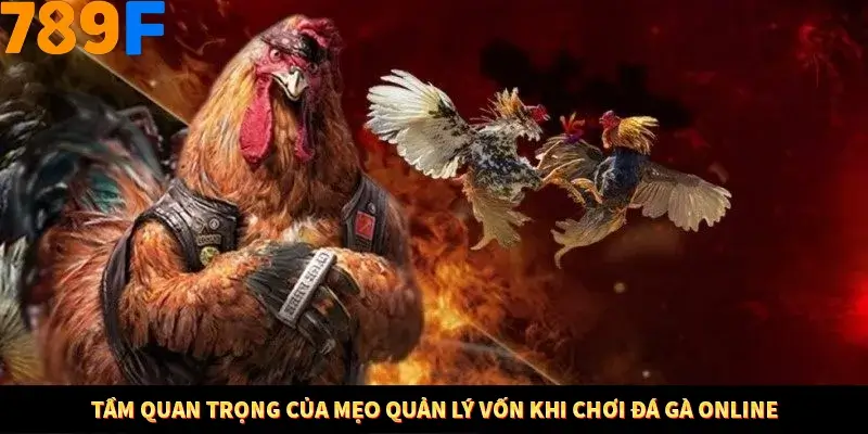 Bí Quyết Đánh Lô Khung 5 Ngày An Toàn Tại Nhà Cái 789F 10 Tầm quan trọng của mẹo quản lý vốn khi chơi đá gà online