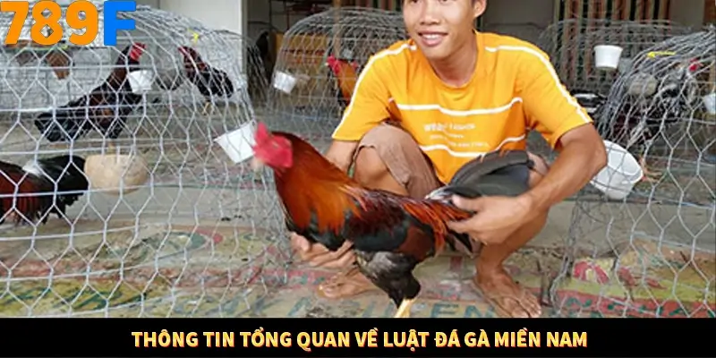Bí Quyết Đánh Lô Khung 5 Ngày An Toàn Tại Nhà Cái 789F 10 Thông tin tổng quan về luật đá gà miền Nam