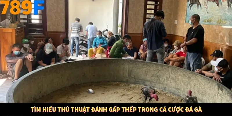 Bí Quyết Đánh Lô Khung 5 Ngày An Toàn Tại Nhà Cái 789F 11 Tìm hiểu thủ thuật đánh gấp thếp trong cá cược đá gà