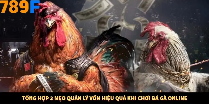 Bí Quyết Đánh Lô Khung 5 Ngày An Toàn Tại Nhà Cái 789F 11 Tổng hợp 3 mẹo quản lý vốn hiệu quả khi chơi đá gà online