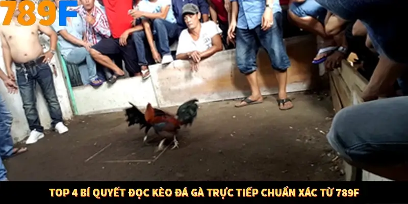Bí Quyết Đánh Lô Khung 5 Ngày An Toàn Tại Nhà Cái 789F 11 Top 4 bí quyết đọc kèo đá gà trực tiếp chuẩn xác từ 789F