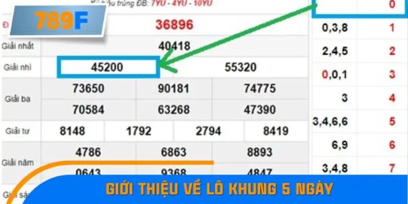 Giới thiệu về lô khung 5 ngày
