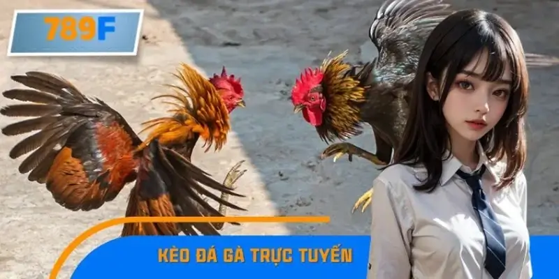 Kinh Nghiệm Bắt Kèo Đá Gà Trực Tuyến Dễ Hiểu Cho Tay Mơ 789F 7 Kinh Nghiệm Bắt Kèo Đá Gà Trực Tuyến Dễ Hiểu Nhất Cho Tay Mơ