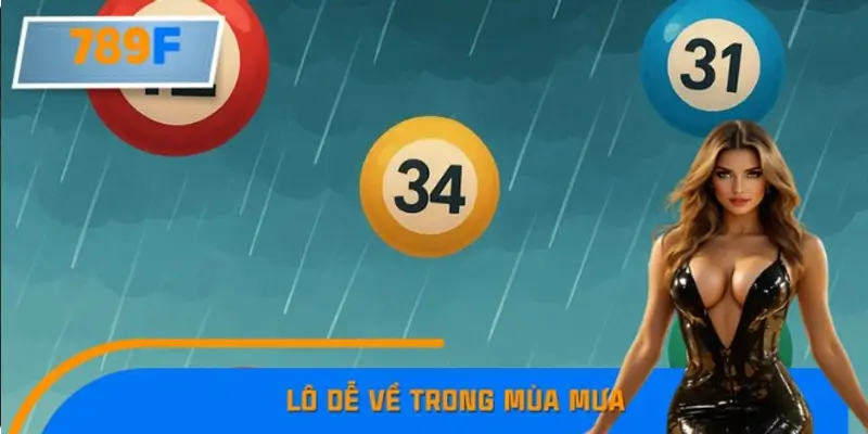 Lô Dễ Về Trong Mùa Mưa Và Kinh Nghiệm Nhận Biết Tại 789F