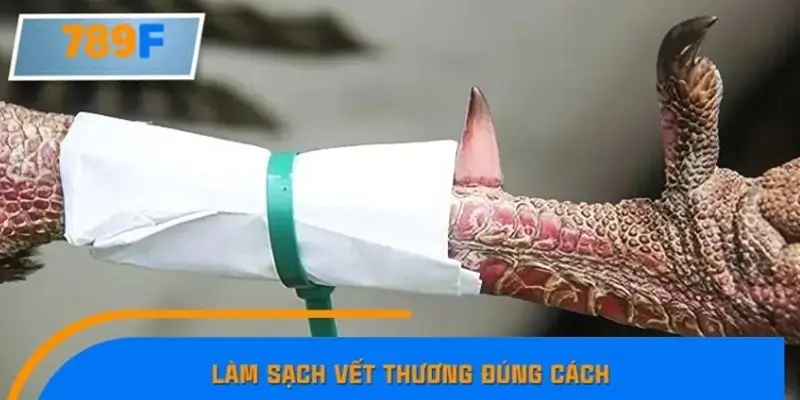 Làm sạch vết thương đúng cách Làm sạch vết thương đúng cách