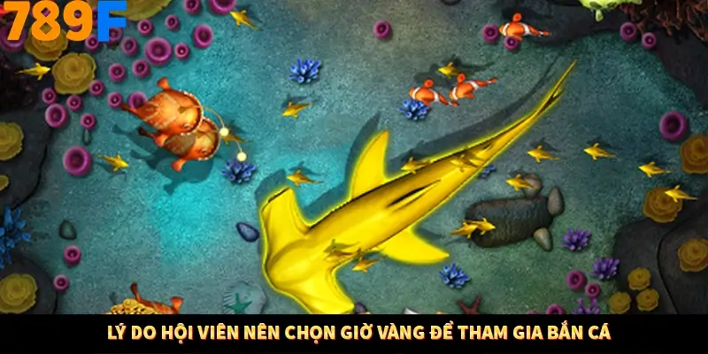 Lý do hội viên nên chọn giờ vàng để tham gia bắn cá Lý do hội viên nên chọn giờ vàng để tham gia bắn cá