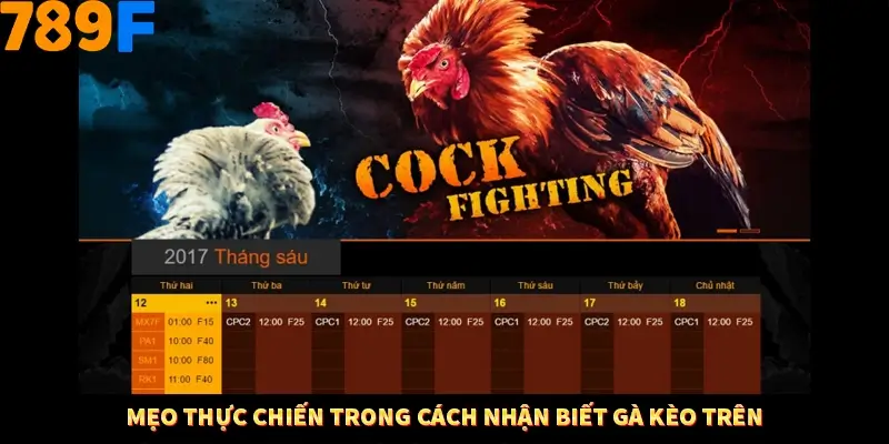 Bí Quyết Đánh Lô Khung 5 Ngày An Toàn Tại Nhà Cái 789F 12 Mẹo thực chiến trong cách nhận biết gà kèo trên