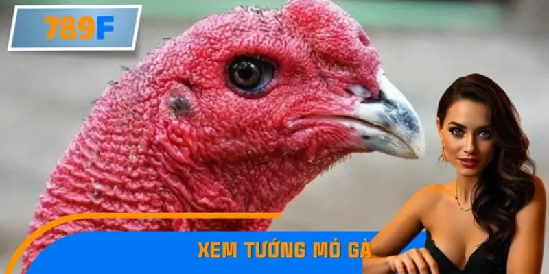 Mẹo Xem Tướng Mỏ Gà Chuẩn Sư Kê Của Các Cao Thủ 789F 5 Mẹo Xem Tướng Mỏ Gà Chuẩn Sư Kê