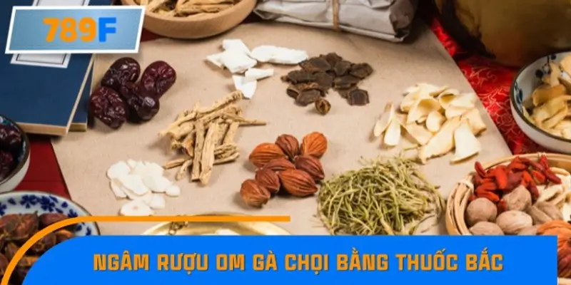 Ngâm rượu om gà chọi bằng thuốc Bắc