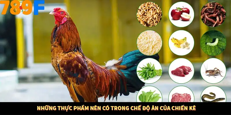 Bí Quyết Đánh Lô Khung 5 Ngày An Toàn Tại Nhà Cái 789F 12 Những thực phẩm nên có trong chế độ ăn của chiến kê