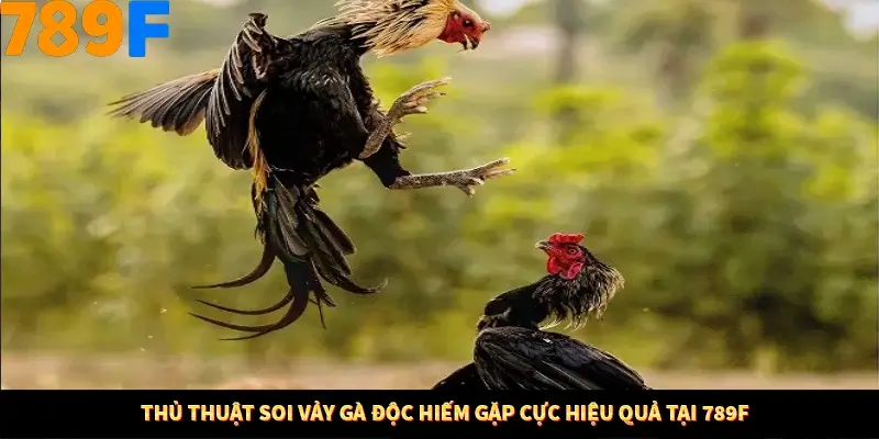 Thủ Thuật Soi Vảy Gà Độc Hiếm Gặp Cực Hiệu Quả Tại 789F