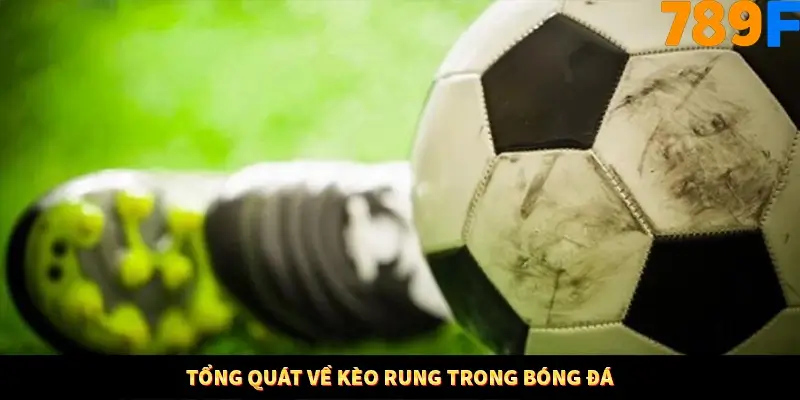 Tổng quát về kèo rung trong bóng đá Tổng quát về kèo rung trong bóng đá