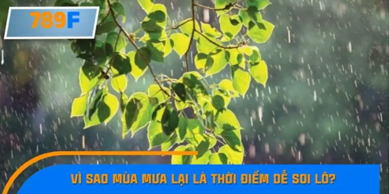 Vì sao mùa mưa lại là thời điểm dễ soi lô? Vì sao mùa mưa lại là thời điểm dễ soi lô?